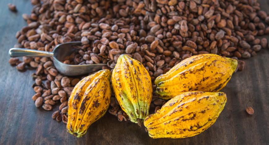 Cocoa Beans